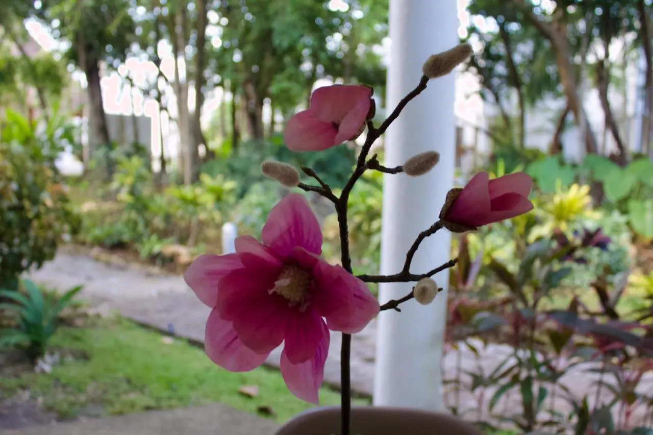別荘 プレヤデルカーメン Residencial Bali Casa Mariposaヴィラ